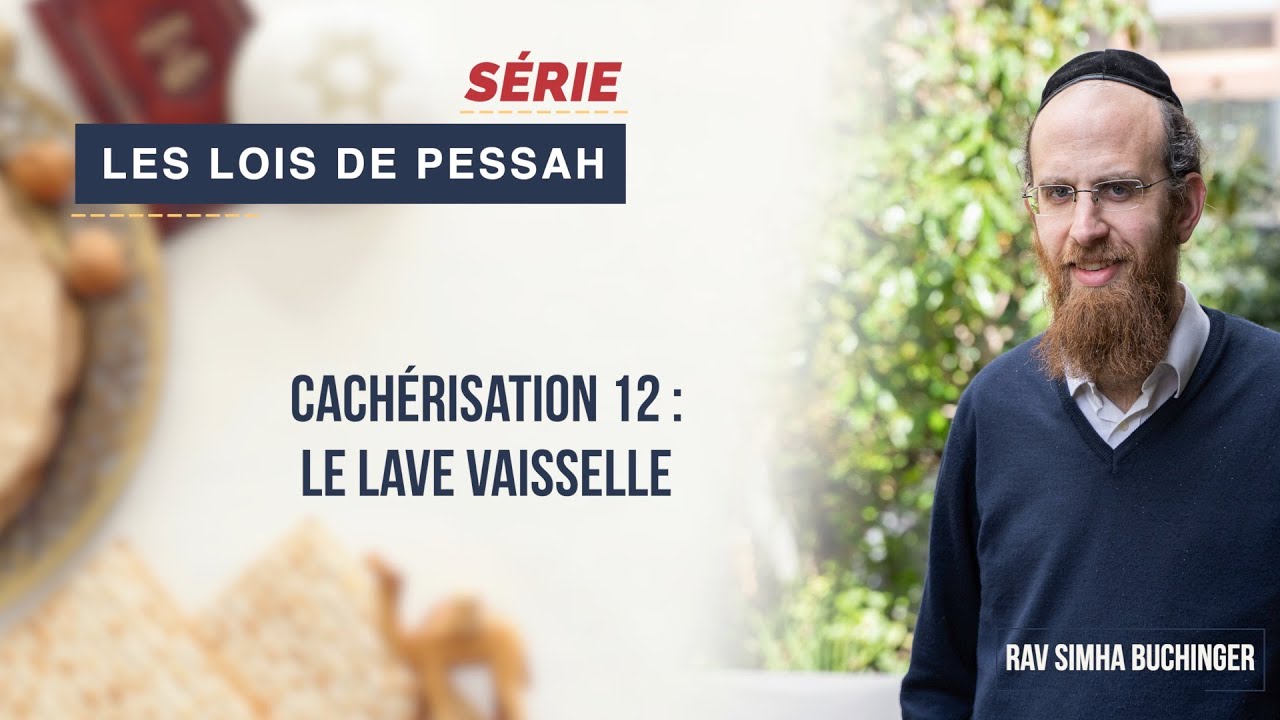 Les Lois de Pessah - Cachérisation 12 : Le lave vaisselle