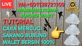 TUTORIAL CARA MENCUCI SARANG BURUNG WALET BERSIH SERATUS PERSEN