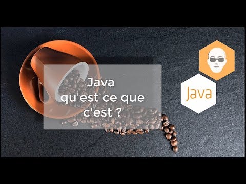 Vidéo: Qu'est-ce qui est vrai en Java ?