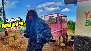 Download Lagu GERANDONG PATROLI KE RUMAH WARGA ❗❗ KUDA LUMPING GENTRA CITRA PASUNDAN (GCP) 💥 LEMBUR KURING MP3