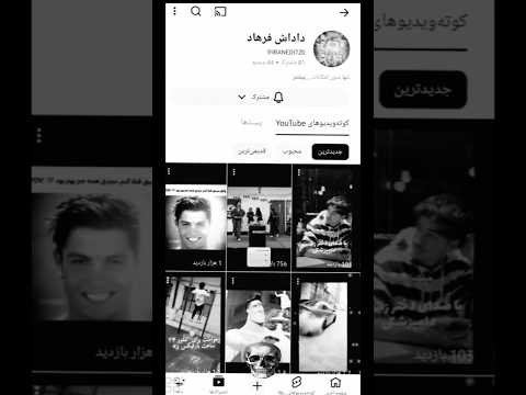 ماینلب  شلتنا  نزهه  تضامنا