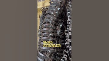 Cạm 9 đánh chuột đồng chuột thịt siêu hiệu quả