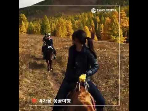 가을에 몽골여행을 떠나는 이유 (feat 몽골리아세븐데이즈)