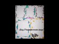 5 Border Designs easy/project work designs/school assignment border design/