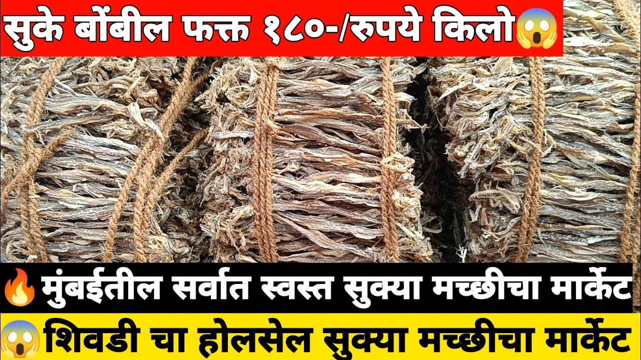 😱सुके बोंबील फक्त 180 रुपये किलो🐠| शिवडी चा होलसेल सुक्या मच्छीचा मार्केट | Mumbai Dry Fish Market |