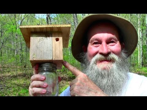 수제 DIY 목수 꿀벌 함정 만드는 방법