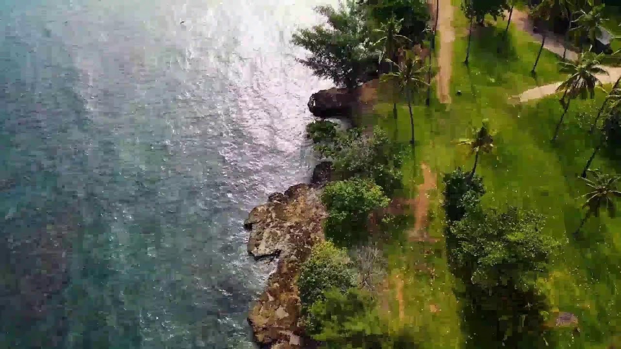 LIVE Nature Sounds & Calm Music 🍃 Relax, Focus & Heal NaturallAnxiety Reduction  (24/7 Calm Stream)