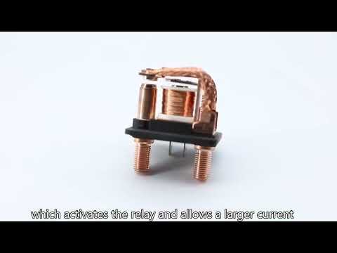 Automotive Relay Plug Socket