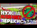 Нужна ли перекись водорода для микрозелени? Бизнес микрозелень! Избавляемся от плесени микрозелени!