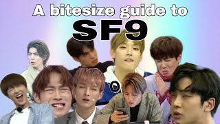 A bitesize guide to SF9 2021 (READ DESC)