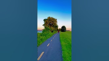 Thumbnail of Looking For The Summer