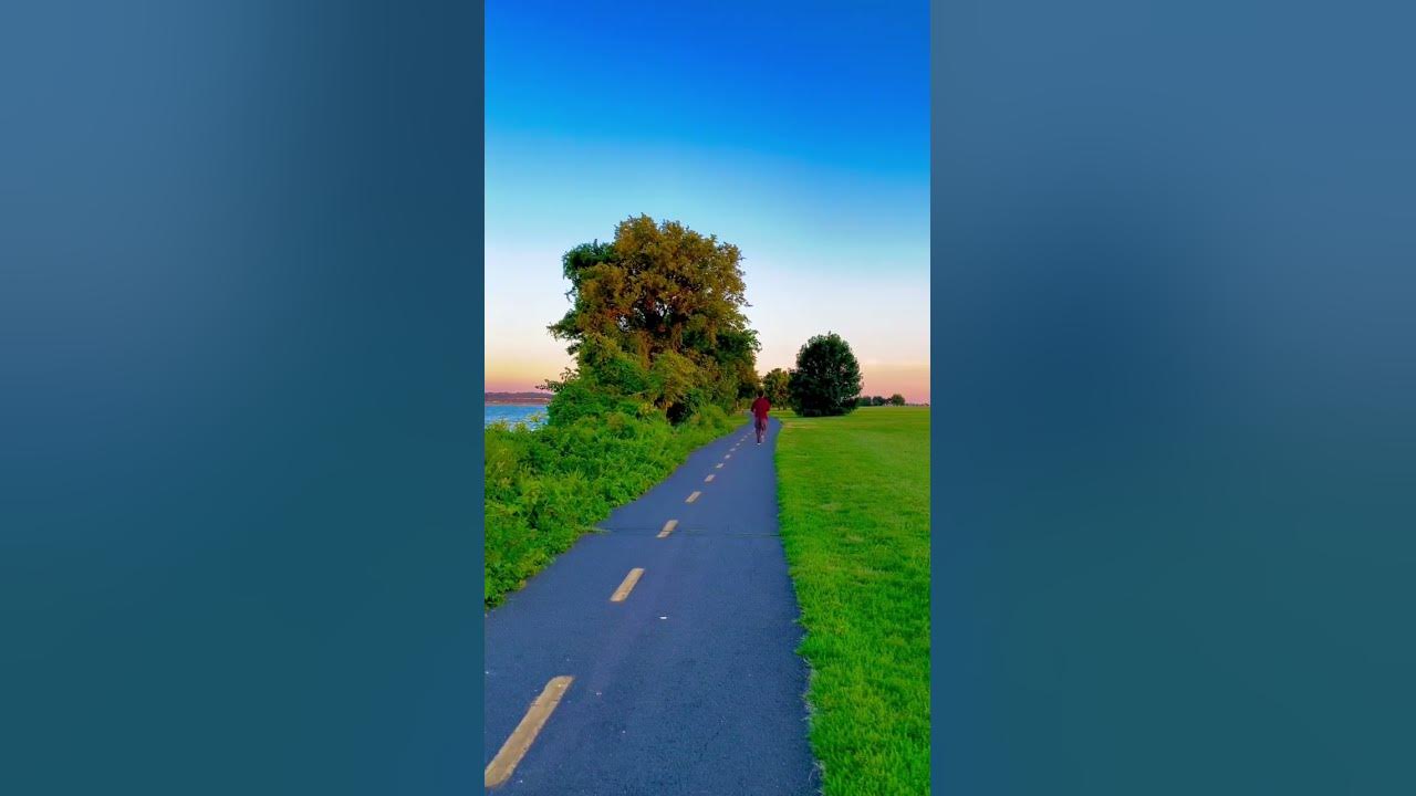 Looking For The Summer