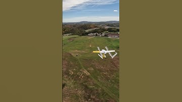 POV: you just pressed order 😍 #DeliveredbyWing #DroneDelivery