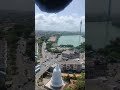 Massive Honeybee Hive Spotted 🐝🍯| Colombo | Sri Lanka