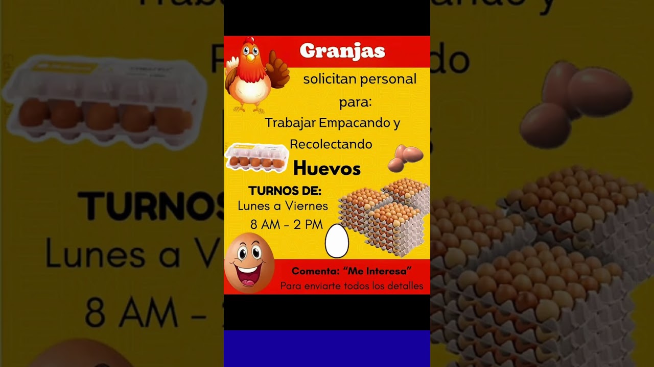 se busca personal para empacar huevos .#Trabajo #Empleo #OportunidadLaboral #Trabajos