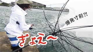 爆発寸前！堤防ショアジギングで高級魚キター(375話目)