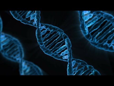 What are DNA and Genes?