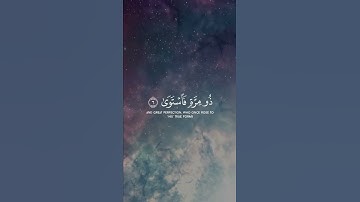 ما تيسر من سورة النجم بصوت الشيخ ماهر المعيقلي 🤍