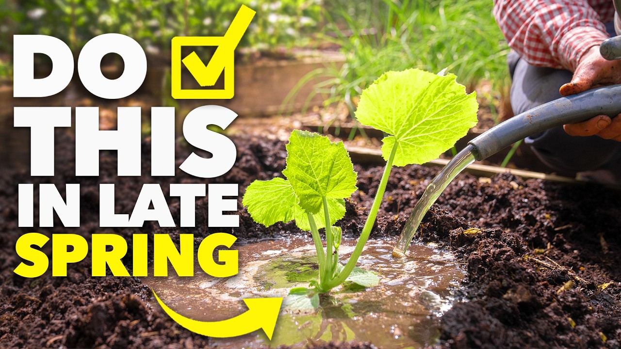 Easy Spring Garden Wins You Can Do Today
