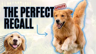 Try THIS For A Perfect Recall - Teach Your Dog Or Puppy To Come EVERY TIME When Called