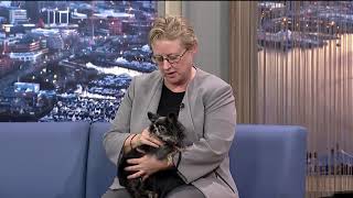 Seattle Animal Shelter Foundation