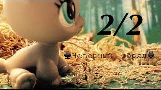 ♣️НЕВЕРНЫЙ ОБРЯД♣️ 2/2 часть ♣️НЕВЕРНЫЙ ОБРЯД♣️ 2/2 часть