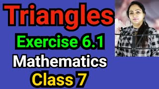 Class 7, Mathematics, Exercise 6.1, Triangles
