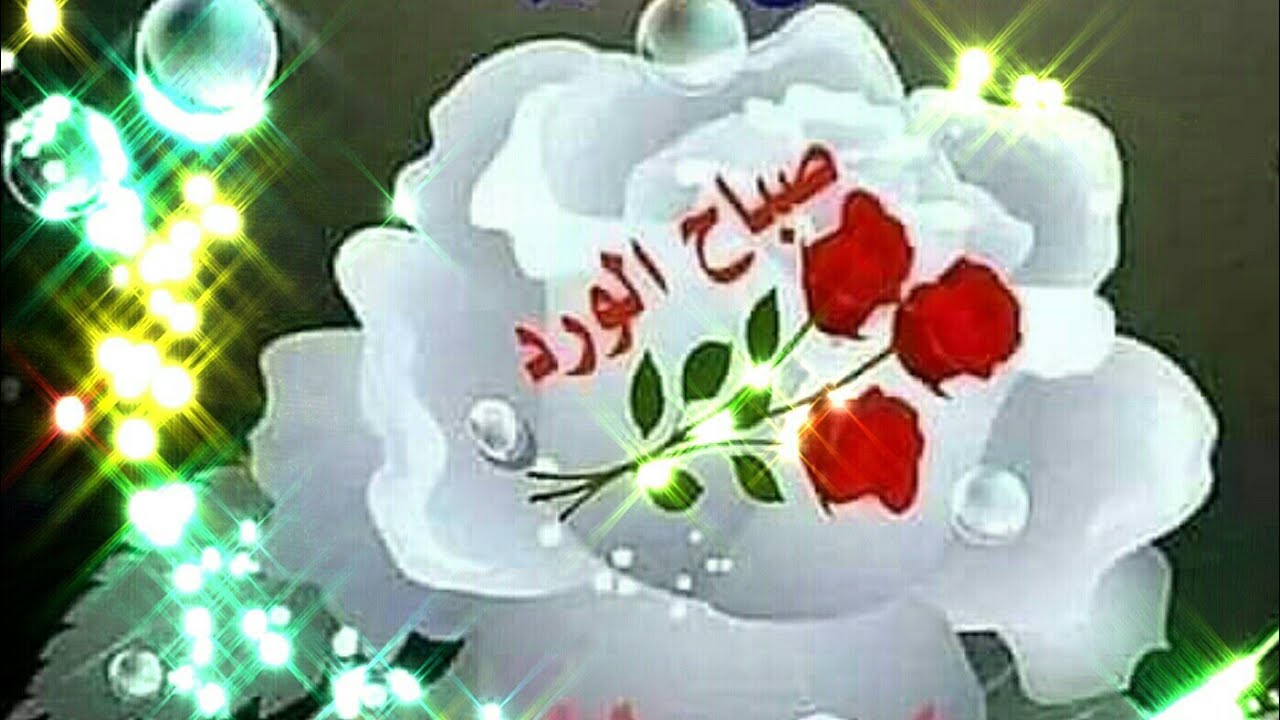 اجمل حالات واتس اب حبيبي صباح الخير شيله صباح الخير حماسيه حب للعشاق جديد مقاطع استغرام 2020 Youtube