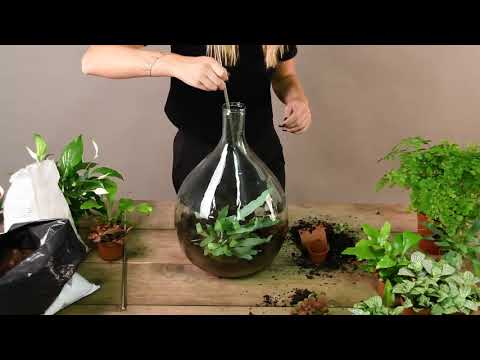 Plant Terrarium - French - video from Esschert Design