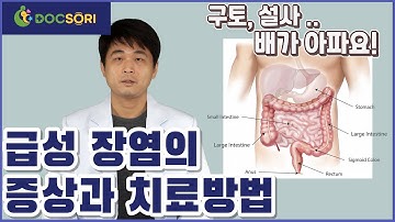 (SUB)장염의 치료 의학채널 똑소리 소화기내과전문의