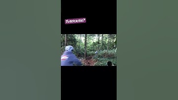 Sick transition loop #mtb #shorts #youtube #transition