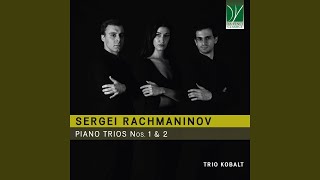 Trio No. 2 in D Minor: III. Allegro risoluto