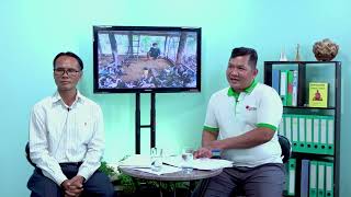 Caritas Cambodia Talk Show - Topic  Chicken Hatching Technique 