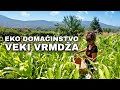Oaza ep.4  - Eko domaćinstvo - Veki Vrmdža 🍀