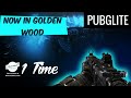Pubglitegaming now in new map  solo vs squad in golden wood  team wild 