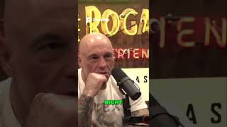 Epstein, Reid Hoffman & Trump:  The Terrifying Truth Everyone Knows