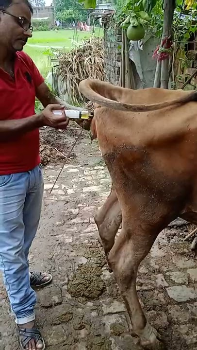 ithna bada injection