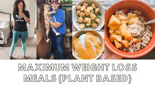 MAXIMUM WEIGHT LOSS MEALS  - THE STARCH SOLUTION