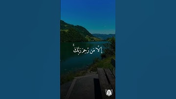 تلاوة بصوت رعد الكردي من سورة هود #قران #قرآن_كريم #آيات #استغفرالله #الحمدلله #quran