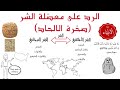 2- الرد على معضلة الشر(صخرة ألألحاد)