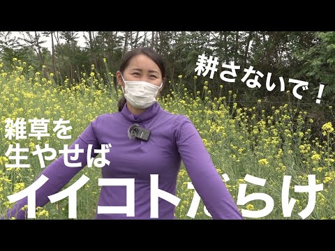 【耕さないで！】雑草を生やして草生栽培にするメリット -草刈り-