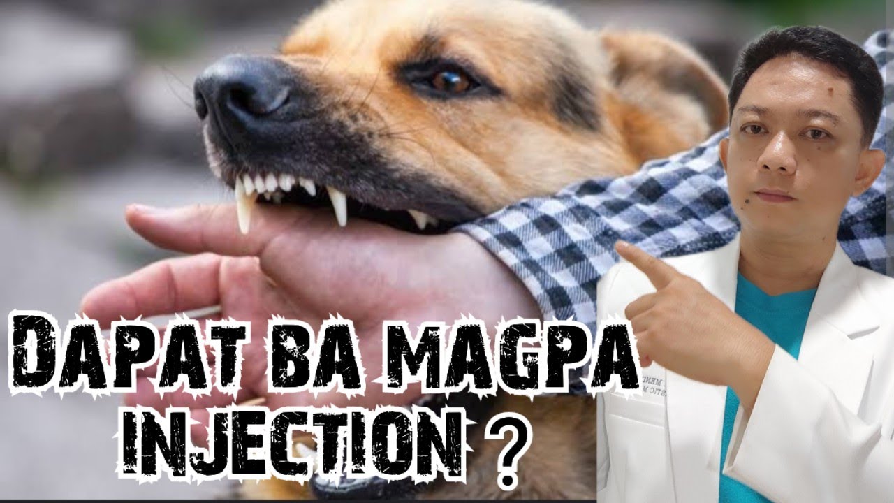 Rabies!   DAPAT BANG MAGPABAKUNA AGAD PAG NAKAGAT NG HAYUP?