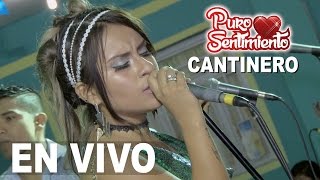 Cantinero Puro Sentimiento Concierto Oficial Primicia 2017 4K chords