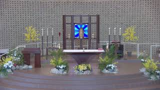 Thirteenth Sunday 6-28 Mass 9:30 AM (music onelicense.net A-720583)