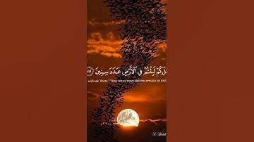 قرآن كريم #راحة_نفسية #اسلام_صبحي #سورة_المؤمنون