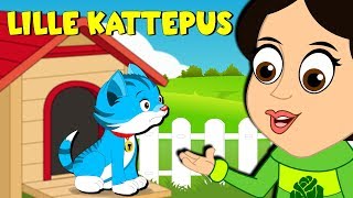 Barnesanger På Norsk - Lille Kattepus - Norske Barnesanger