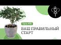 Урок 8. Ваш правильный старт