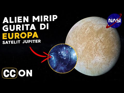 Video: Apakah Gurita Hidup Di Bulan Jupiter? Astronom Inggris Berpikir Ini Mungkin Benar