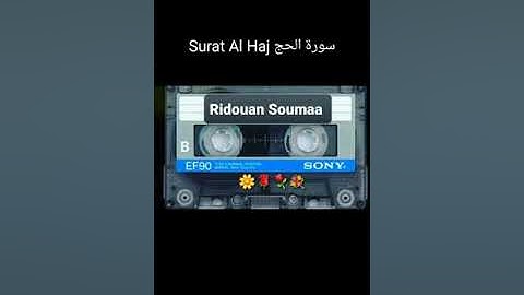 Surat Al haj سورة الحج تلاوة الاستاذ رضوان سومع