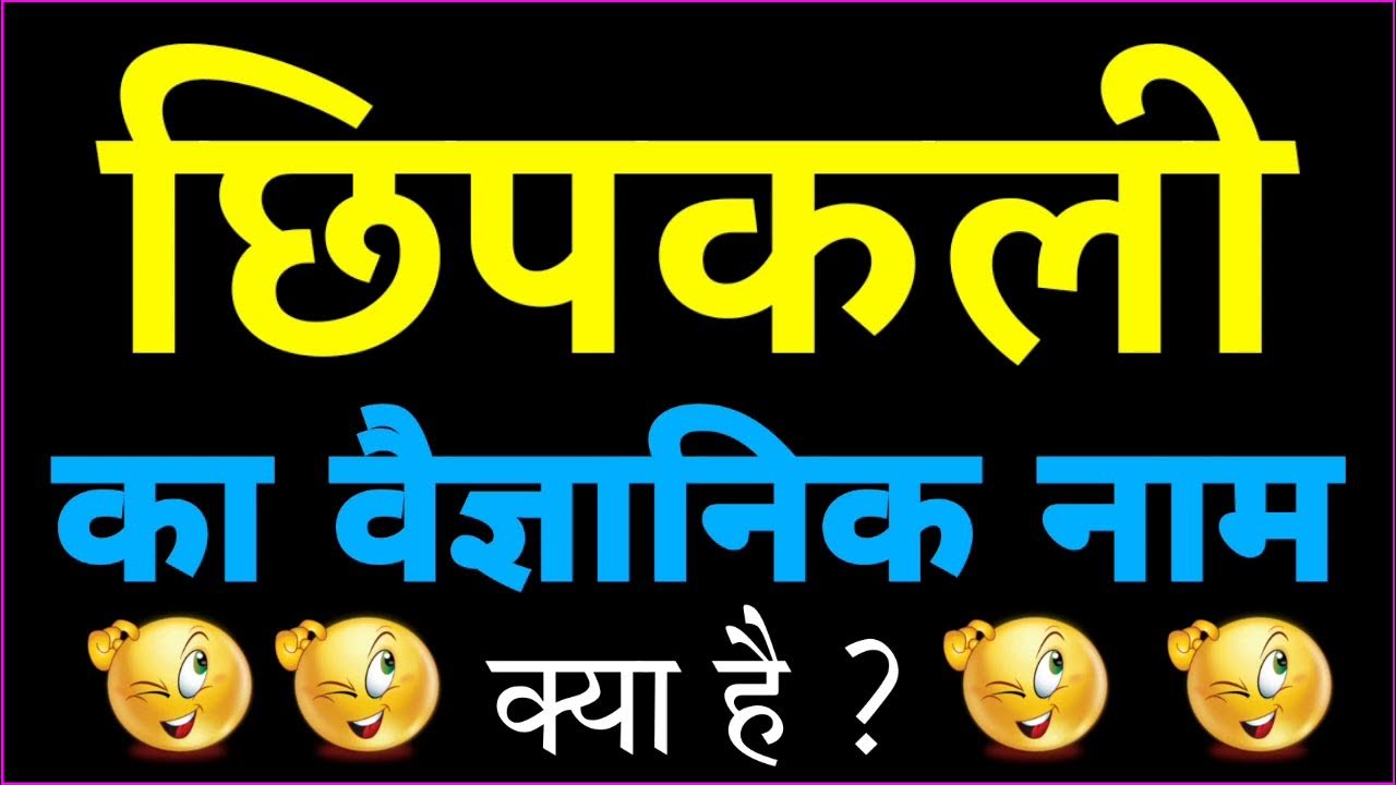 Chhipkali Ka Vaigyanik Naam Kya Hai Chhipkali Ka Scientific Name chhipkali-ka-vaigyanik-naam-kya-hai-chhipkali-ka-scientific-name